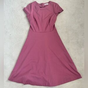 Elegant Mauve A-Line Dress